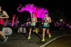 BIB: 
                            <button type="button" onclick="openModal(26534683)" class="btn btn-primary btn-sm float-right btn-popup" data-toggle="modal" data-target=".modal-high-quality">
                        <i class="fas fa-shopping-cart"></i> Add to Cart
                    </button>
                                            <button type="button" onclick="isThisMe(26534683, true)" class="btn btn-success btn-sm float-right btn-popup btn-isme hidden" data-toggle="tooltip" data-placement="bottom" title="นี่คือรูปของคุณใช่ไหม คลิกที่นี่เพื่อเอาเข้าอัลบั้ม">
                        <i class="fas fa-plus"></i> Add to album
                    </button>
                    <button type="button" onclick="isThisMe(26534683, false)" class="btn btn-warning btn-sm float-right btn-popup btn-isnotme hidden">
                        <i class="fas fa-ban"></i> Remove from album
                    </button>